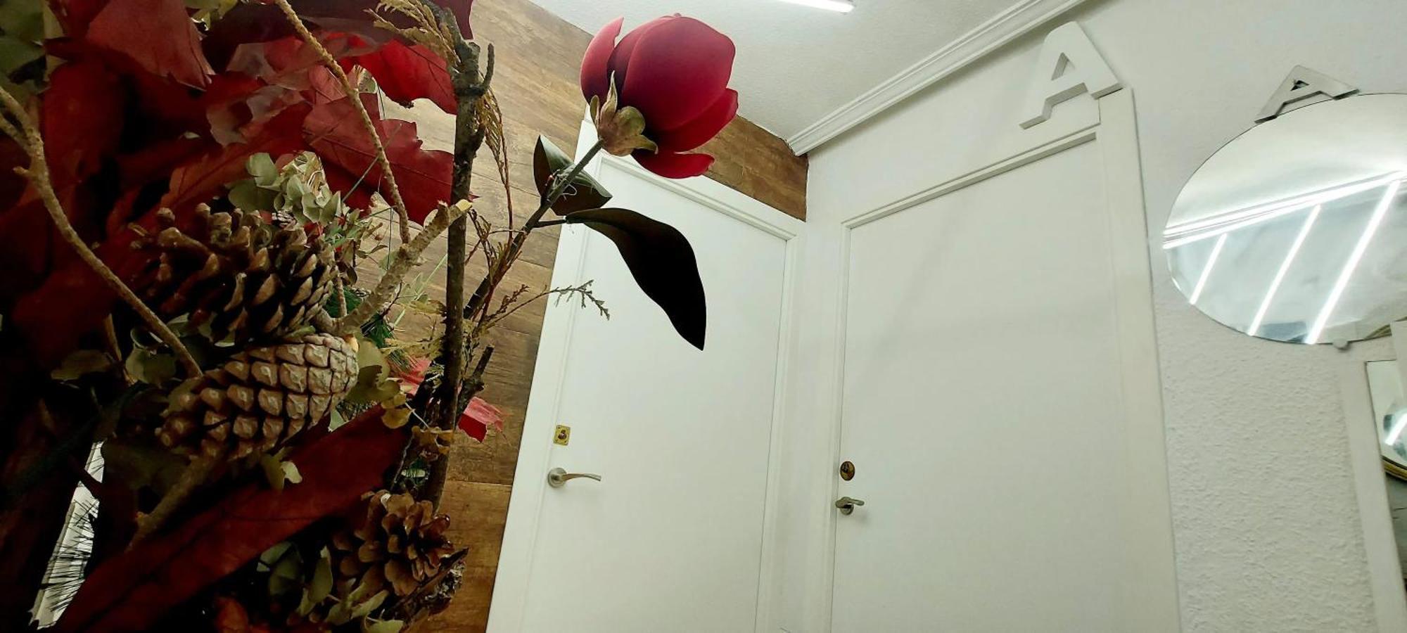 Modern Apartment In Alacant 60M² Wheelchair Accessible Alicante Ngoại thất bức ảnh